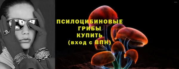 хмурый Михайлов
